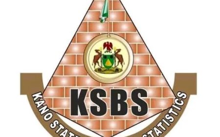 Call for Adhoc Focal Persons:  Kano State Bureau of Statistics | Apply now