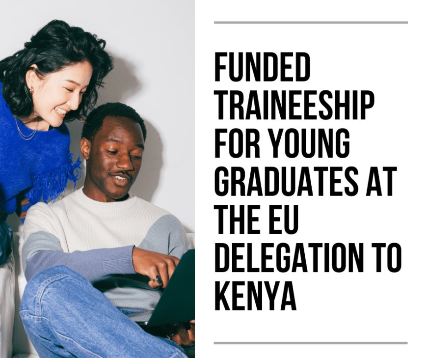 Funded Traineeship Opportunity at the EU Delegation to Kenya – Apply Now