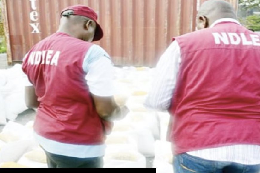 NDLEA arrests grandfather, siblings for drugs