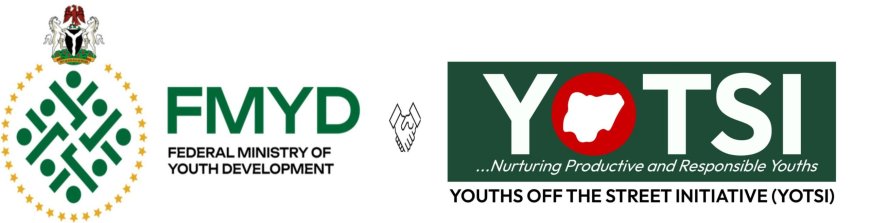 What You Should Do Next After Applying for the Youth Economic Intervention and De-Radicalization Programme (YEIDEP)