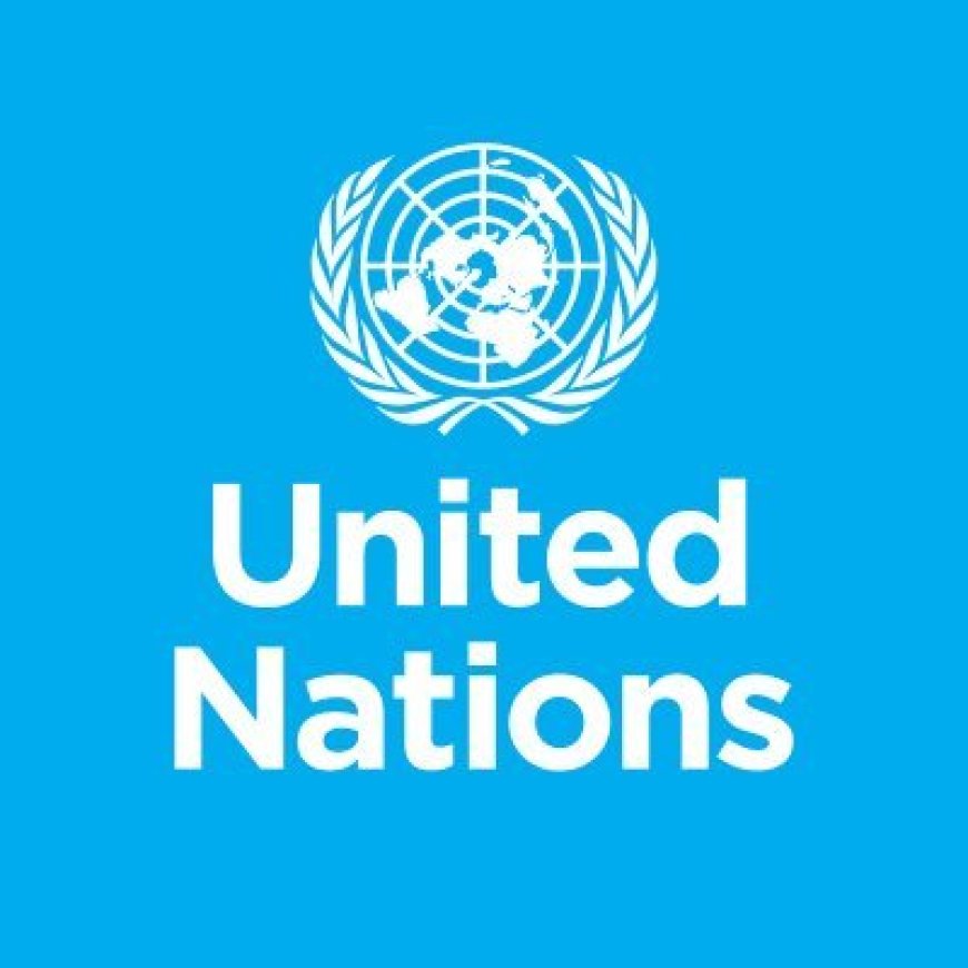 United Nations Recruiting Hausa Language Information Assistant (Multiple Locations)
