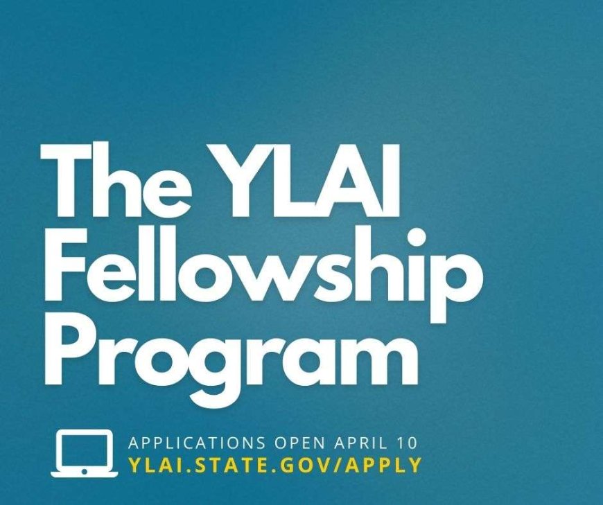 Apply Now for the Young Leaders of the Americas (YLAI) Fellowship Program 2025: Fully Funded Opportunity for Young Entrepreneurs in the Americas