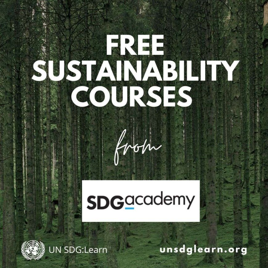 29 FREE Sustainability courses from SDG Academy